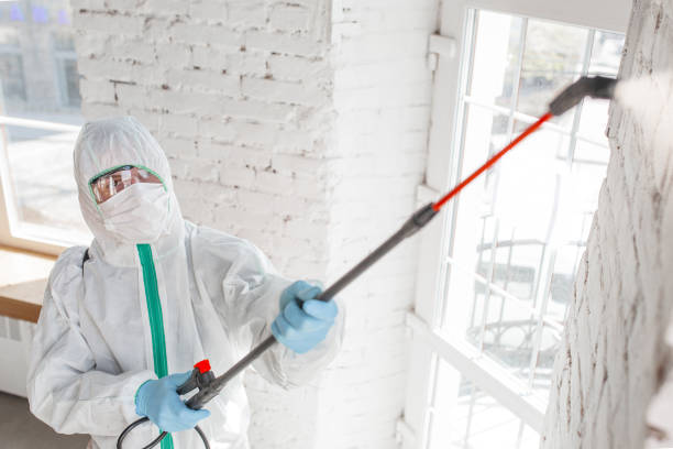 Best HVAC Mold Inspection and Cleaning  in Delta, UT