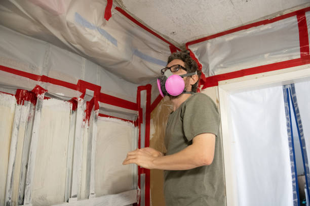 Trusted Delta, UT Mold Removal Experts
