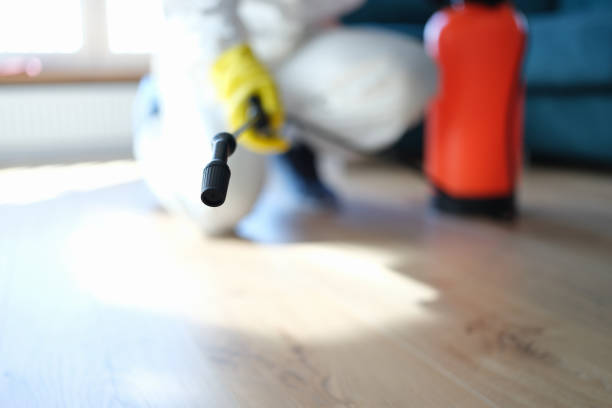 Best Residential Mold Inspection & Testing  in Delta, UT