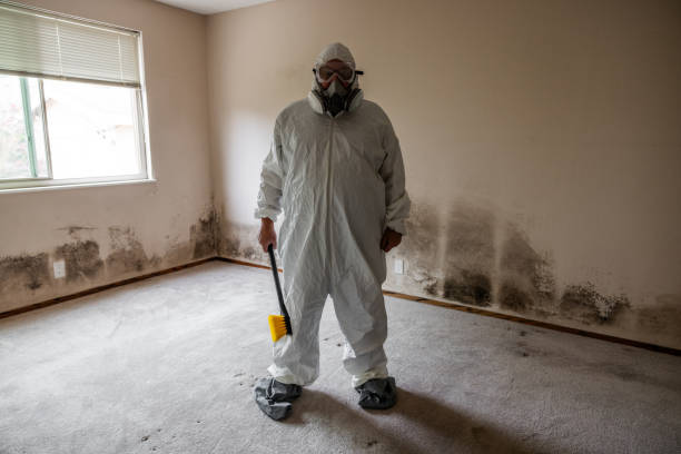 Best Emergency Mold Remediation  in Delta, UT