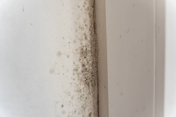 Best Indoor Air Quality Assessment  in Delta, UT
